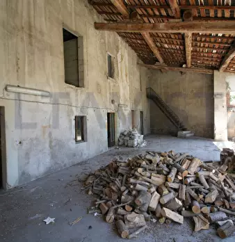 Foto annuncio 19