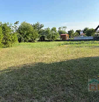 Foto annuncio 30