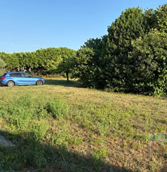 Foto annuncio 47