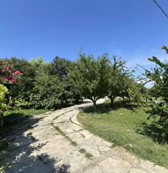Foto annuncio 9