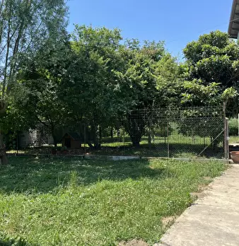 Foto annuncio 10