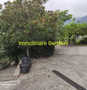 Foto annuncio 18