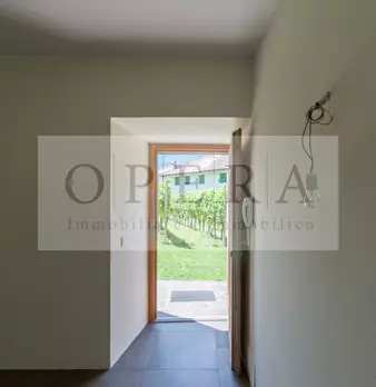 Foto annuncio 25