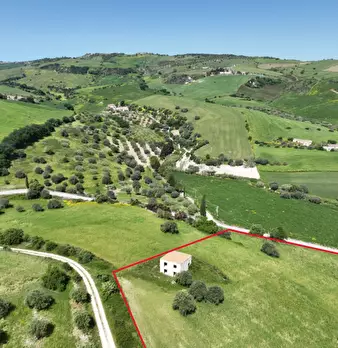 Foto annuncio 1