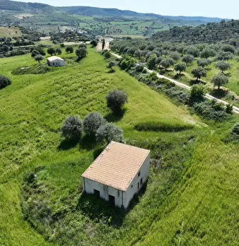 Foto annuncio 2