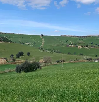 Foto annuncio 20