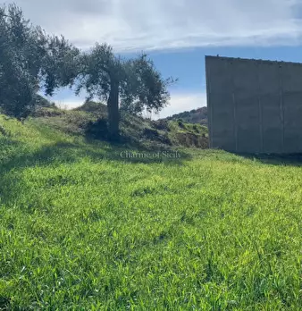 Foto annuncio 22