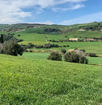Foto annuncio 25