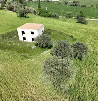 Foto annuncio 28