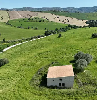 Foto annuncio 29