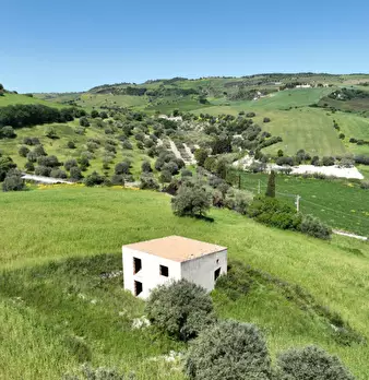Foto annuncio 30