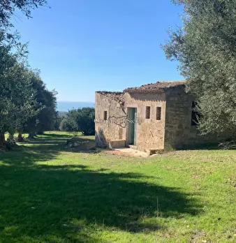 Foto annuncio 4