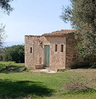 Foto annuncio 5