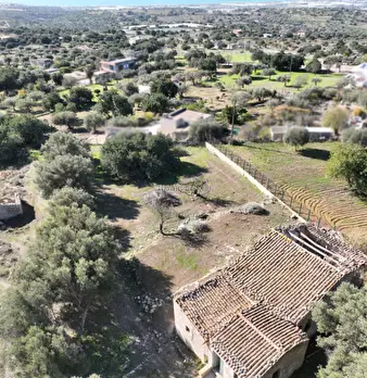 Foto annuncio 9