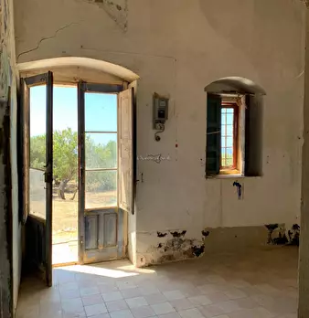 Foto annuncio 18