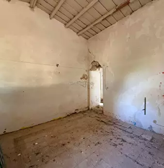 Foto annuncio 24