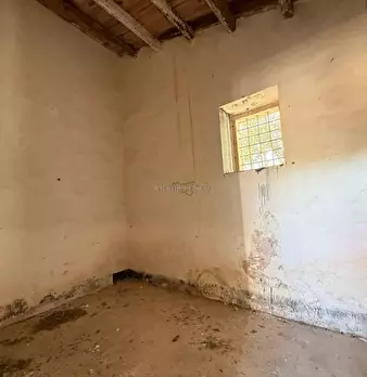 Foto annuncio 27