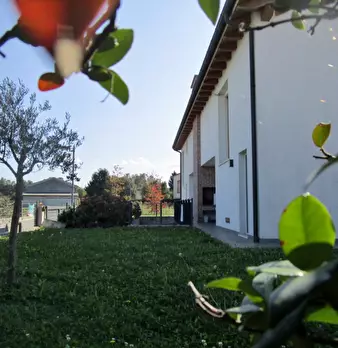 Foto annuncio 8