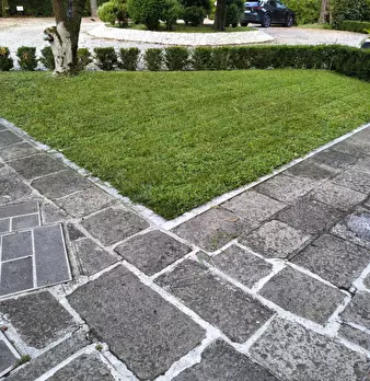 Foto annuncio 2
