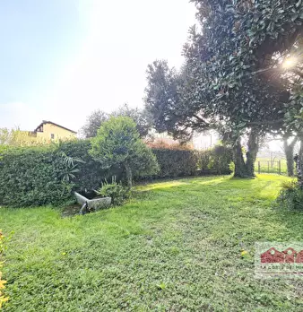 Foto annuncio 27
