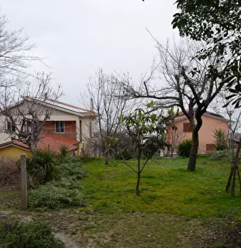 Foto annuncio 8