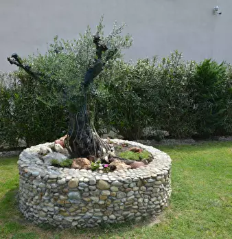 Foto annuncio 4