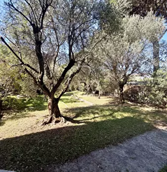 Foto annuncio 24