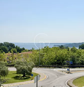 Foto annuncio 24