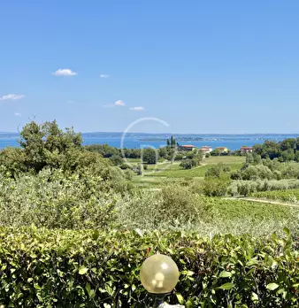 Foto annuncio 9