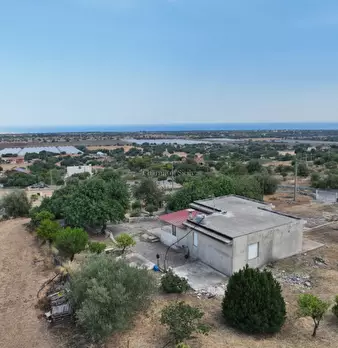 Foto annuncio 5