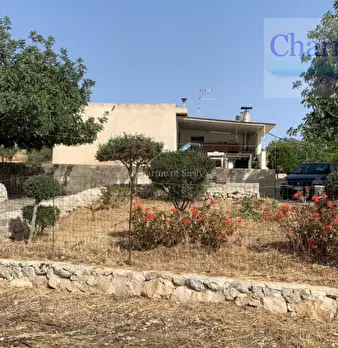 Foto annuncio 19