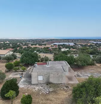 Foto annuncio 36