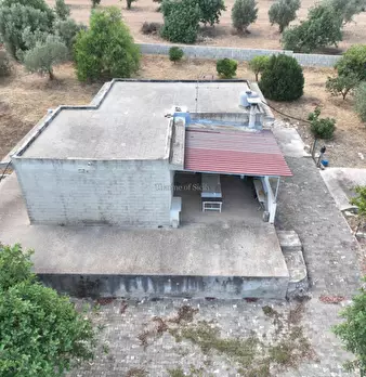 Foto annuncio 38