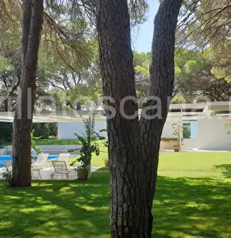 Foto annuncio 10
