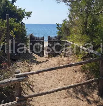 Foto annuncio 17