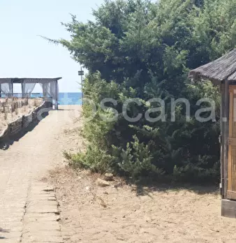 Foto annuncio 18
