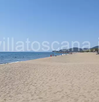 Foto annuncio 19