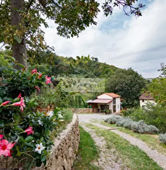 Foto annuncio 4