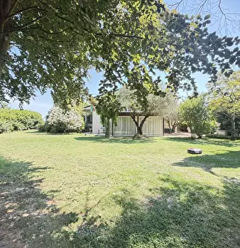 Foto annuncio 19