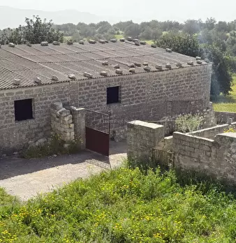 Foto annuncio 19