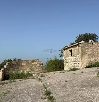 Foto annuncio 25