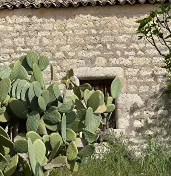 Foto annuncio 28
