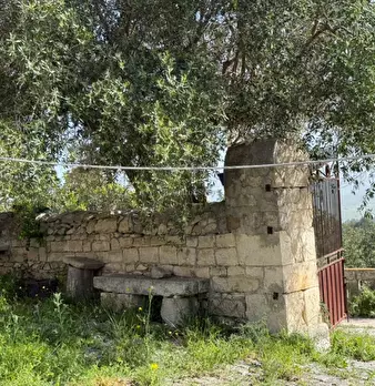 Foto annuncio 30