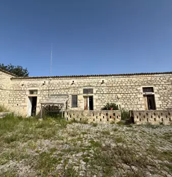 Foto annuncio 31