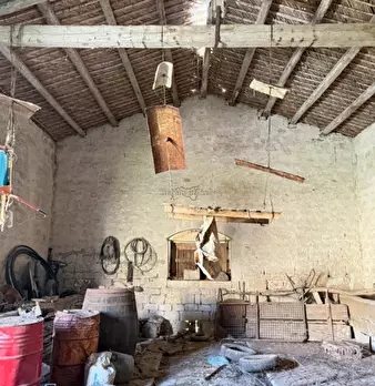 Foto annuncio 51
