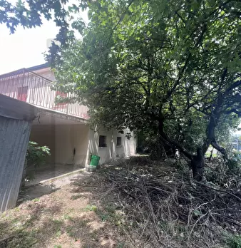 Foto annuncio 7