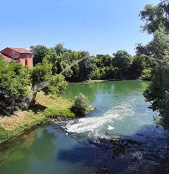 Foto annuncio 3