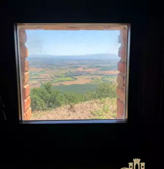 Foto annuncio 12