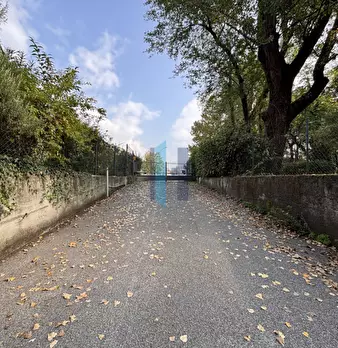Foto annuncio 37