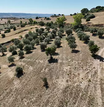 Foto annuncio 11
